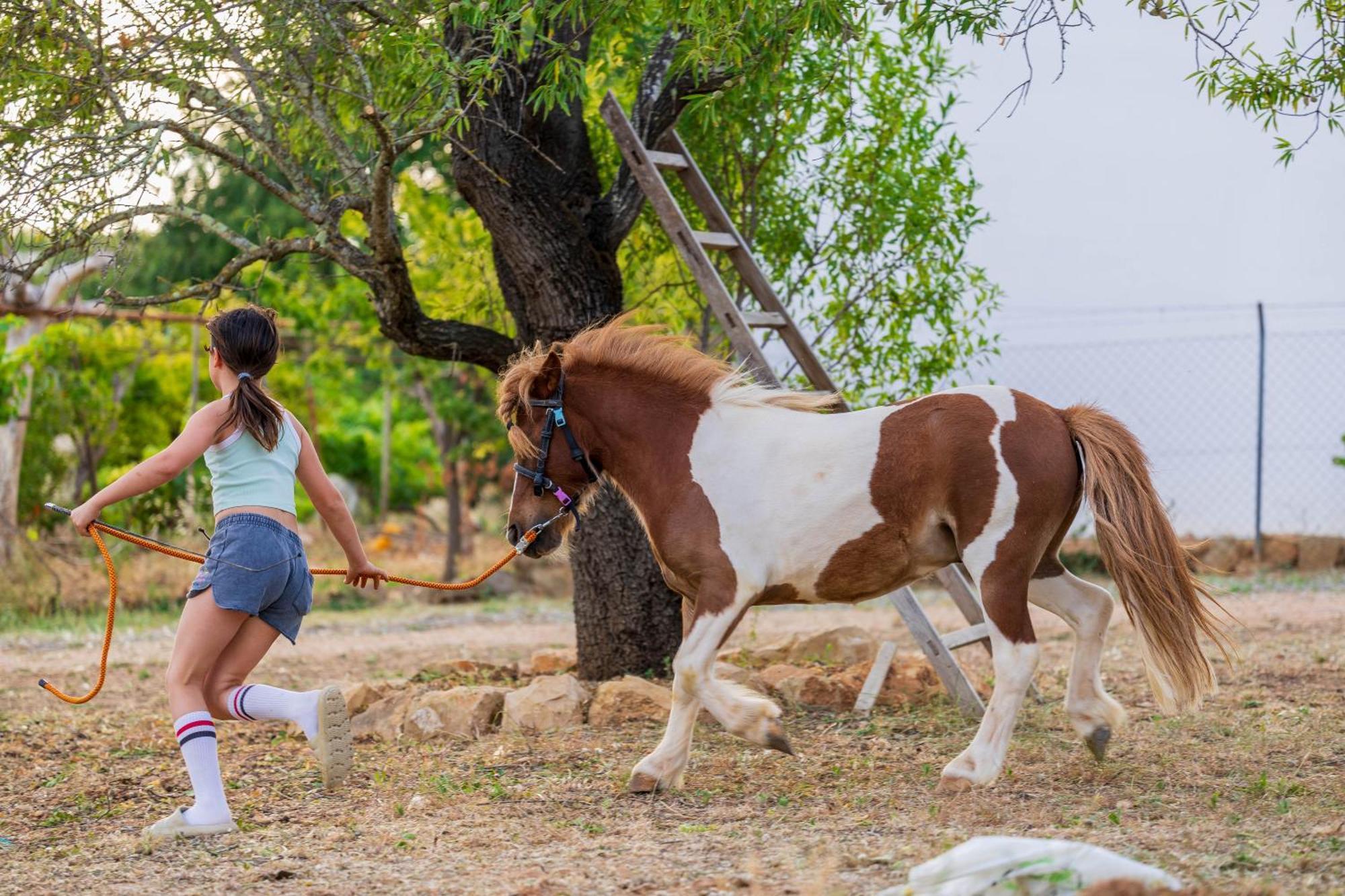 La Quinta Da Liberdade - Ferme De Charme En Algarve Villa Pechao ภายนอก รูปภาพ
